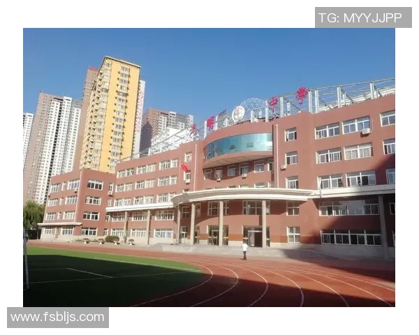 王少杰的奋斗历程与成功秘诀探秘：从平凡到卓越的成长之路